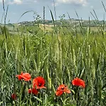 Holiday home Casa Fagiano San Lorenzo in Campo