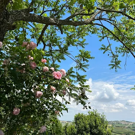 Casa Fagiano San Lorenzo in Campo