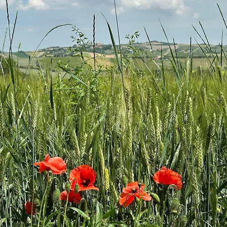 Casa de Férias Casa Fagiano San Lorenzo in Campo