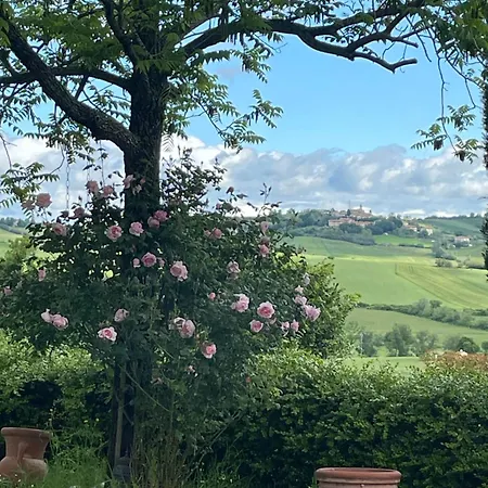 Casa Fagiano * San Lorenzo in Campo