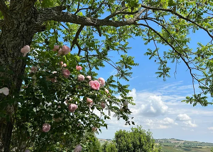 Casa Fagiano San Lorenzo in Campo