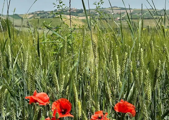 Σπίτι διακοπών Casa Fagiano San Lorenzo in Campo
